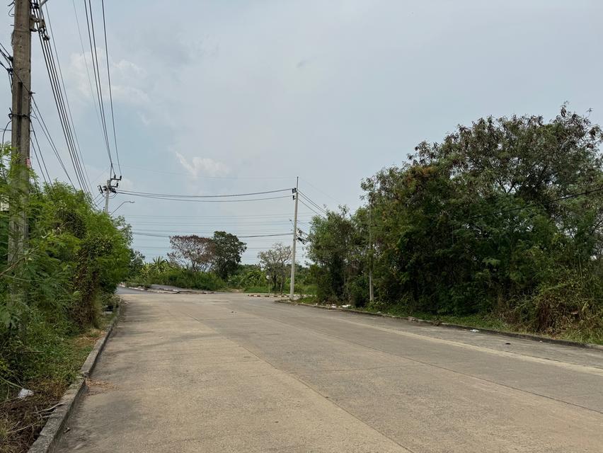 ขายที่ดินหมู่บ้านฟอลร่าวิลล์มีนบุรี 3