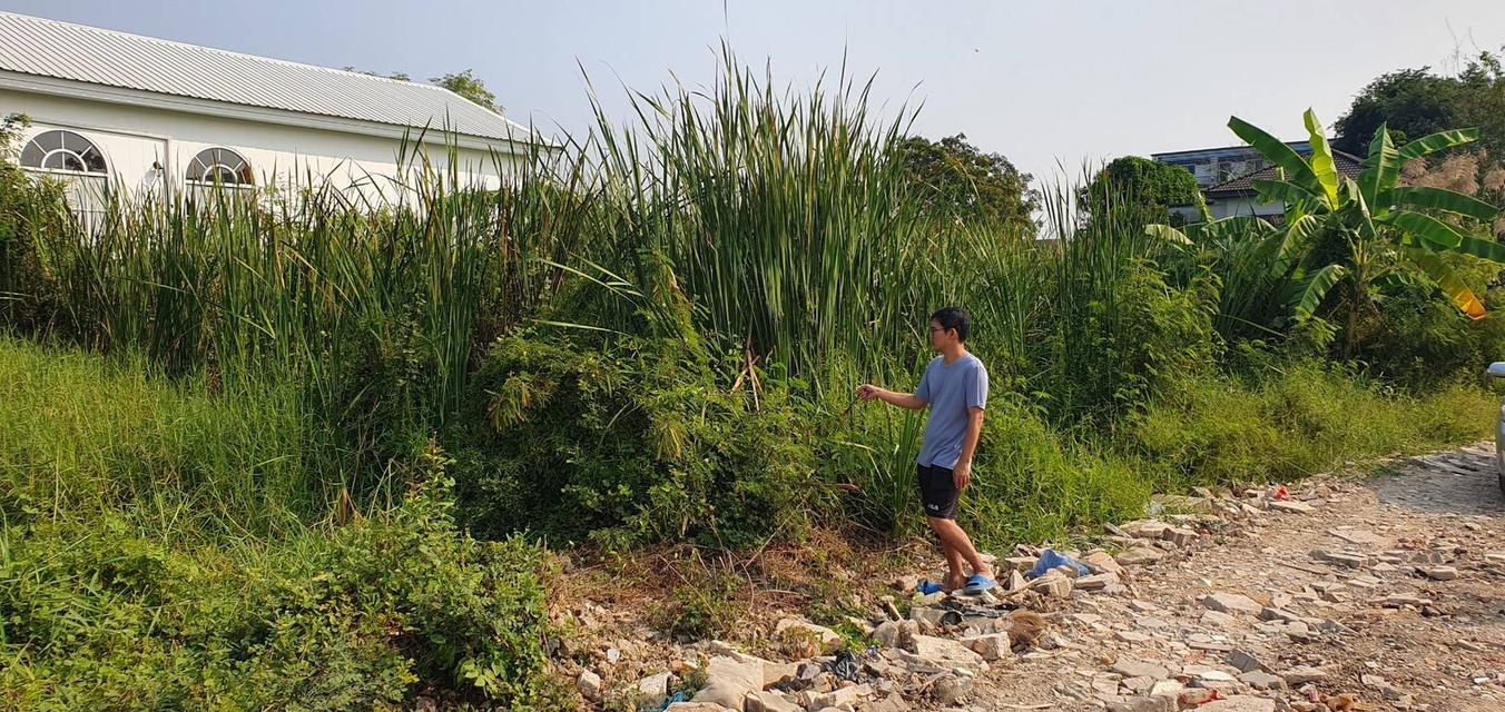 ที่ดินเปล่า 97 ตรว. ในหมู่บ้านพูลศรี จ.ปทุมธานี ใกล้รร.สาธิตปมุม 2