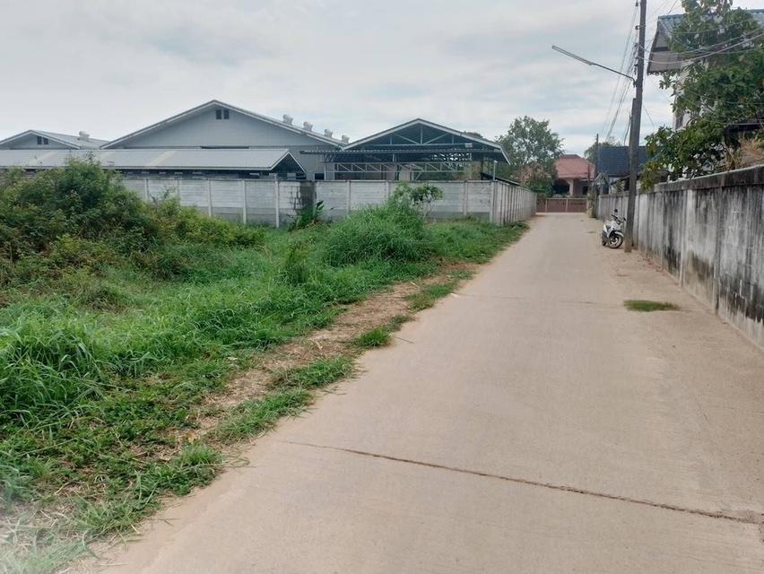 ขายที่ดินราคาไม่แพงในจังหวัดอุดรธานี 1 ไร่หลังแม็คโครสาขา 2 7
