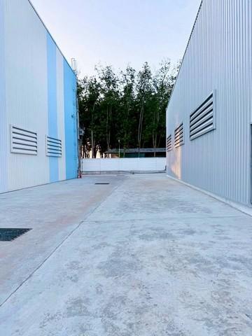 ขายๆๆๆๆ โรงงาน ขนาด 3,300 ตรม. หนองอิรุณ บ้านบึง ชลบุรี ผังสีเหลือง 8