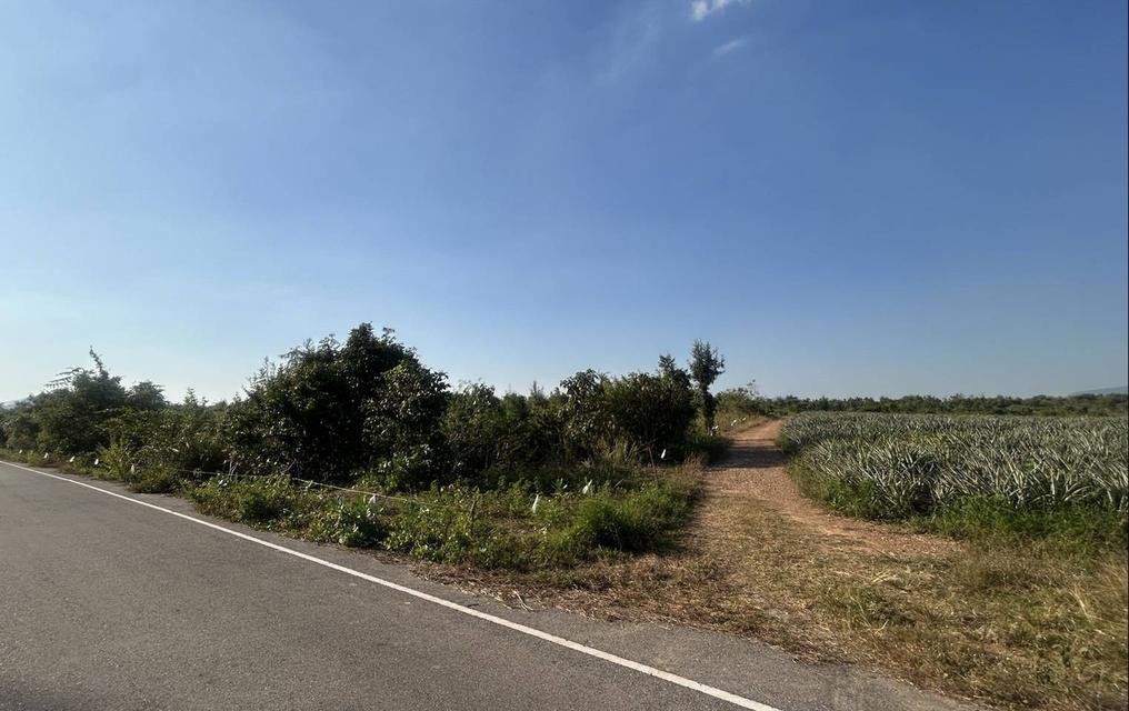 ที่ดินแปลงใหญ่ 27 ไร่ มีภูเขาล้อมรอบทางด้านหน้าและด้านหลัง 8