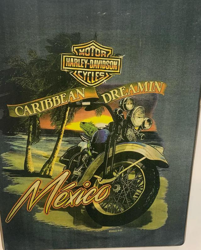 ภาพพิมพ์บนแผ่นไม้ Harley Davidson 2