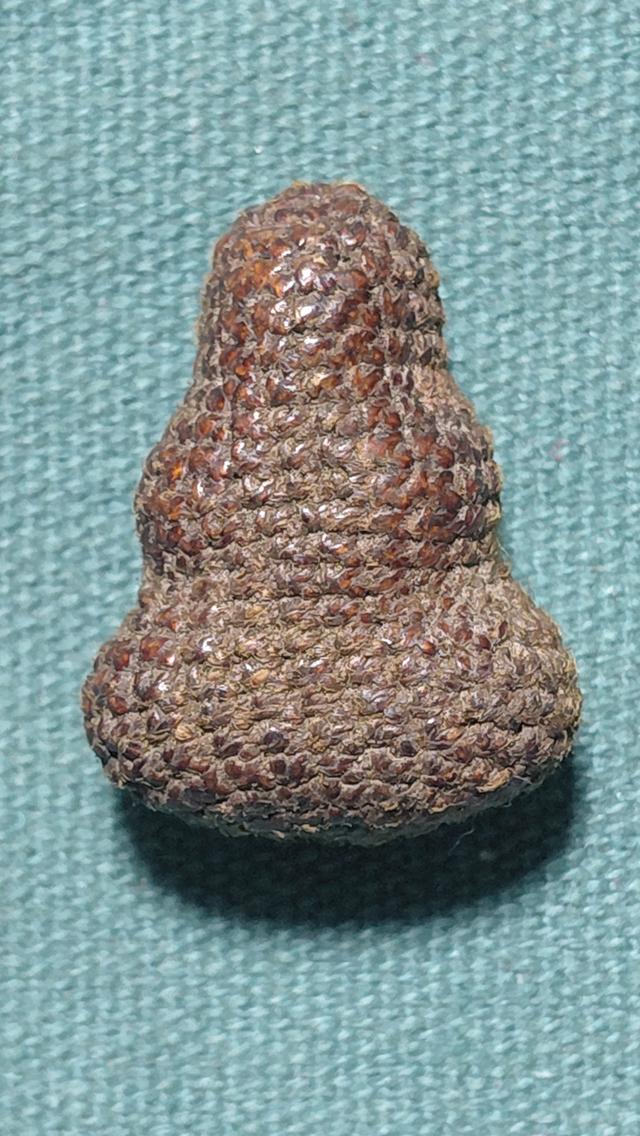 พระปิดตา หลวงปู่เอี่ยมถักเชือก