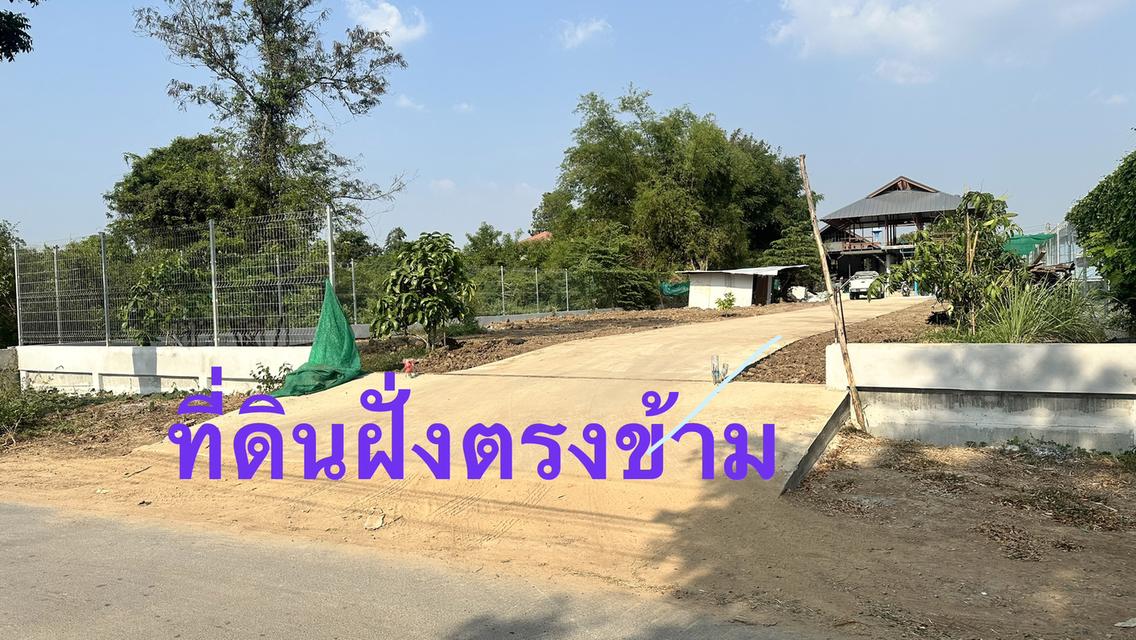 ขายที่ดิน 1 ไร่  950,000.- บาท อ.เมือง  พระนครศรีอยุธยา 6