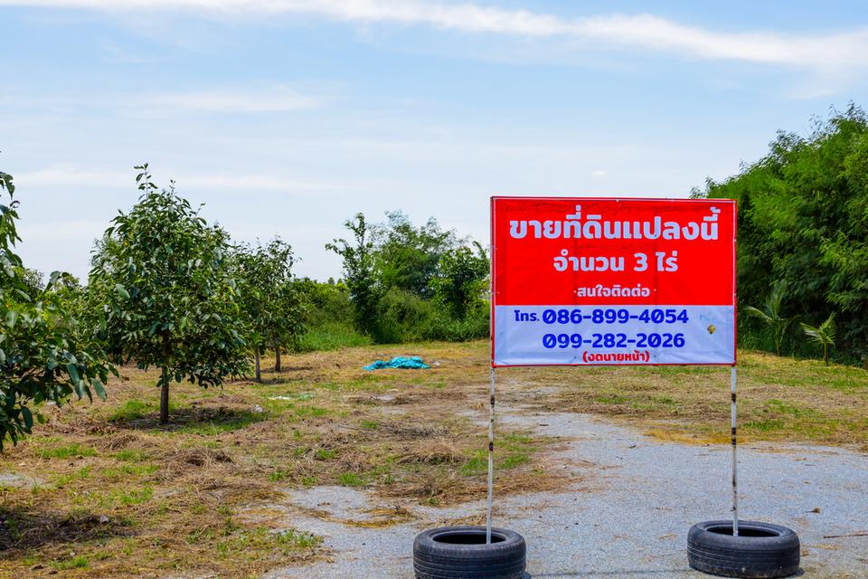 ขายที่ดิน 3 ไร่ อ.อู่ทอง จ.สุพรรณบุรี