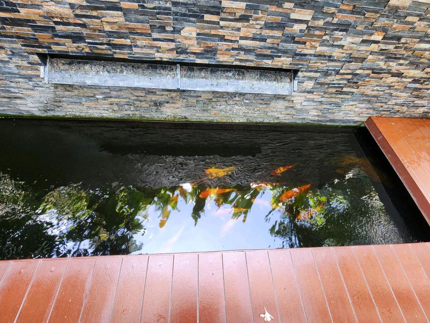 ​ขายบ้านเดี่ยว ม.วิลลาจิโอ ปิ่นเกล้า - ศาลายา (Villaggio Pinklao - Salaya) บ้านสวย สภาพดี แปลงริม ดิน 55.9ตรวา. 3ห้องนอน 3น้ำ แต่งครบ เพียง 5.19MB 10