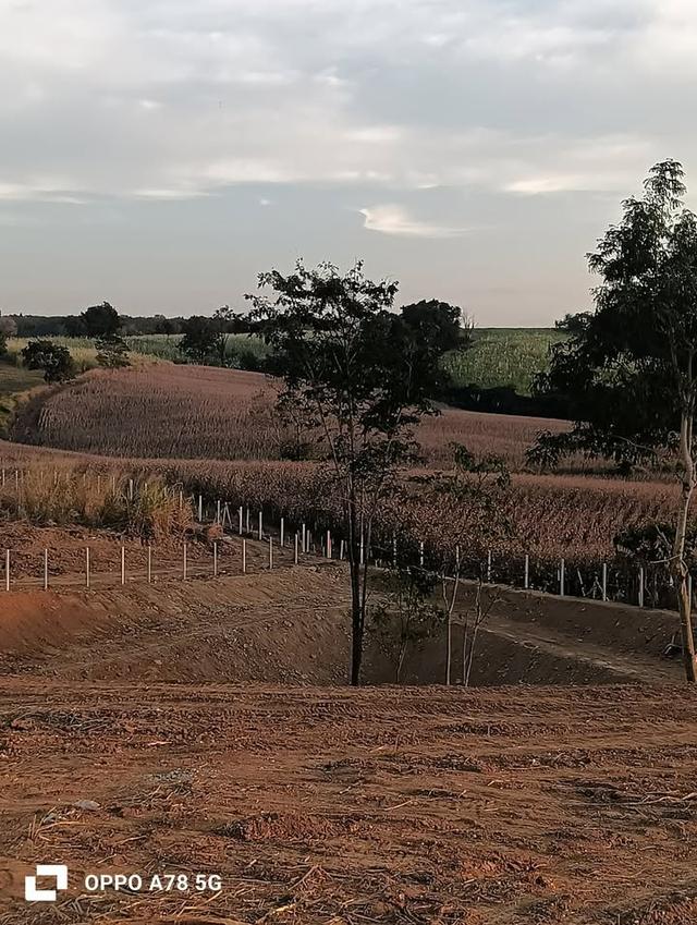 ที่ดินเปล่า ล้อมรั้วเรียบร้อย ถนน 3139 วังน้ำเขียว 3