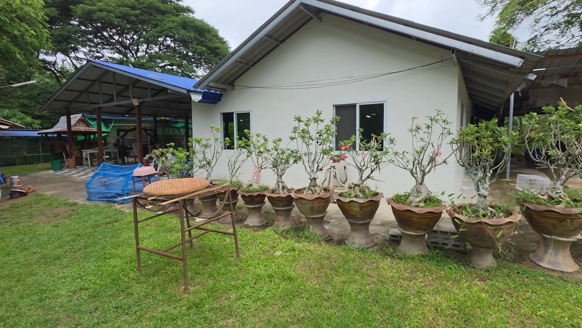 ที่ดินและบ้านพักสวนผึ้ง ติดถนน ติดห้วยน้ำตกเก้าชั้น บรรยากาศท่ามกลางหุบเขา 17