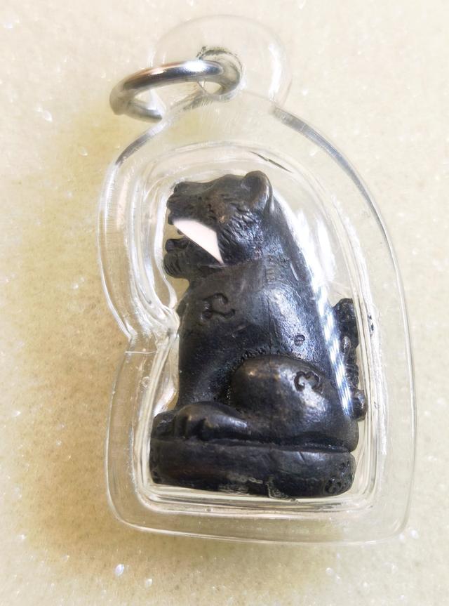 เสือหลวงพ่อเพี้ยน วัดเกริ่นกฐิน ปี 2555 รุ่นแซยิด เนื้อทองเหลืองรมดำ