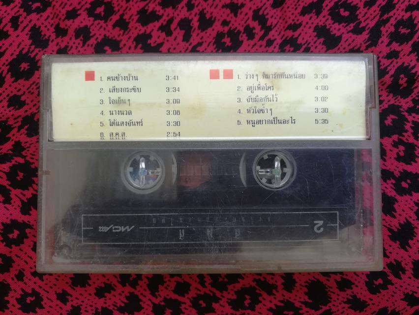 เทปเพลง พี่เบิร์ด