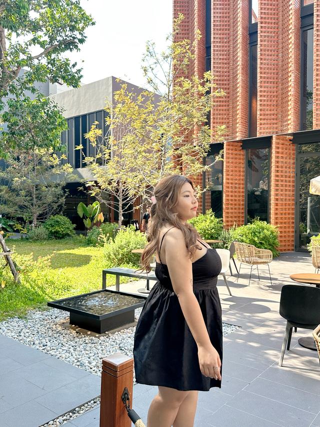 น้องแมว อเมริกันช้อตแฮร์แท้ 4