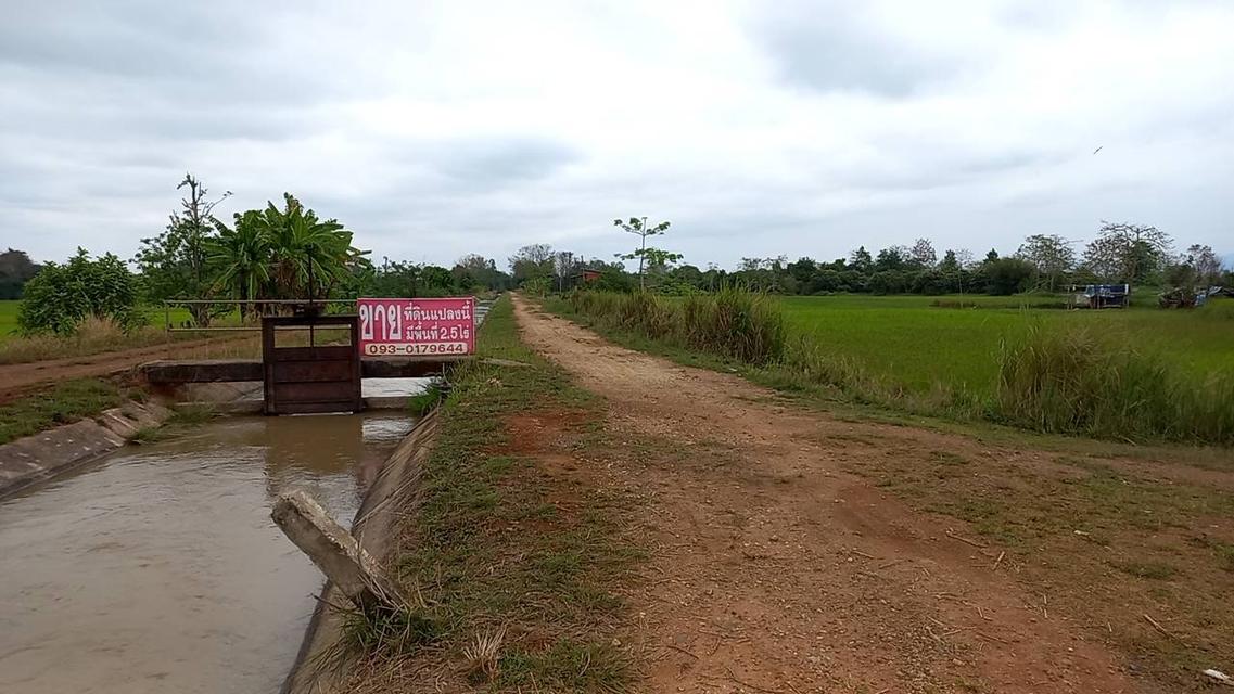 ที่นาติดคลองชลประทาน ติดเมืองเชียงราย 1