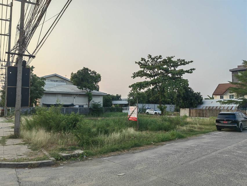 ให้เช่าที่ดินติดถนนใหญ่ 6 เลน 231 ตรว. ติดถนน 3 ด้าน ทำเลดีมาก 2