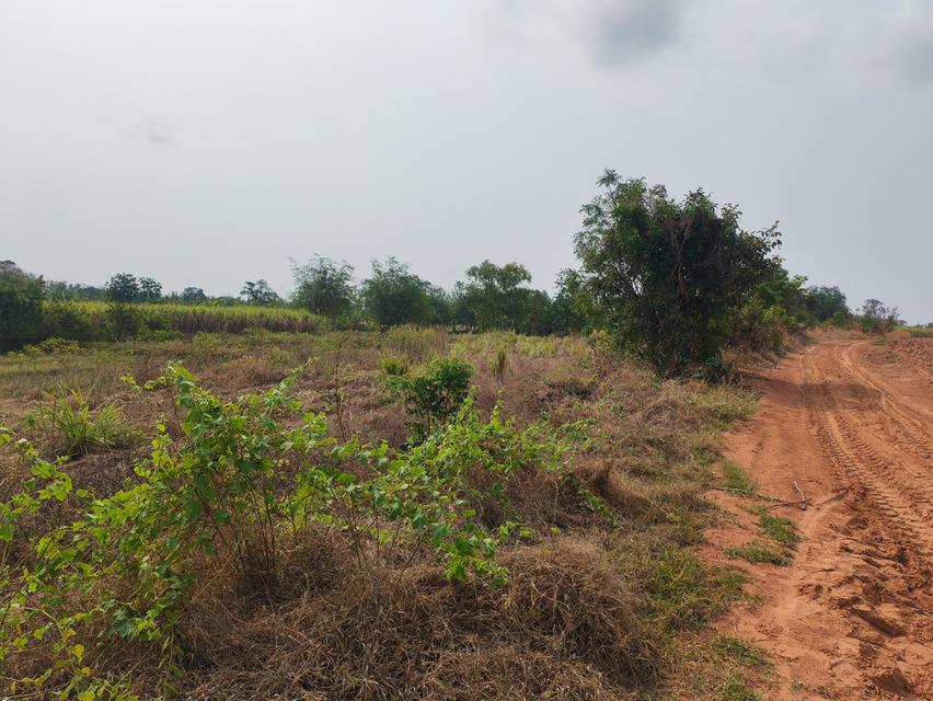 ขายด่วนที่ดิน ขายด่วน ที่ดินสวยแปลงใหญ่ 2แปลงติดกัน ไร่ละ 86,000 บาท จำนวน46-3-31 ไร่ และ 17-0-25 ไร่ เจ้าของคนเดียวกัน เป็นที่ไร่ผสมนา ติดทางสาธารณะท 7