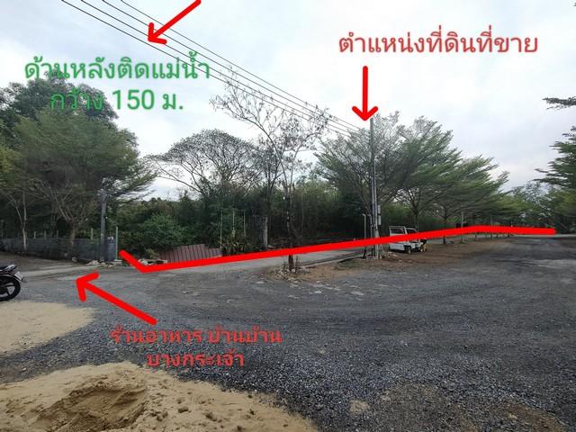 ขายที่ดินแปล่าติดแม่น้ำเจ้าพระยา คุ้งบางกระเจ้า ซอยเพชรหึงษ์ 20 3