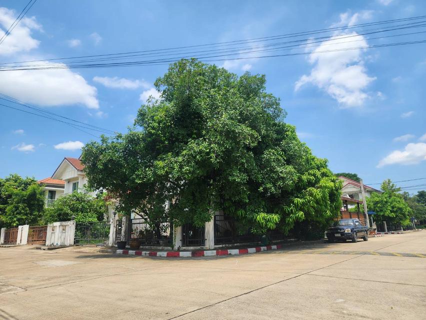 บ้านเดี่ยว หลังมุม เจ้าของขายเอง 3