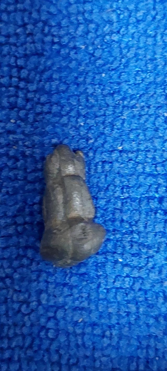 พระปิดตาอาจารย์เอียดวัดดอนศาลา รูปที่ 3