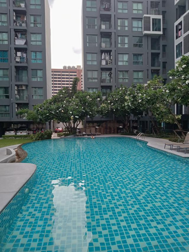 ให้เช่า Condo Living Nest Rahmkhamheang 7