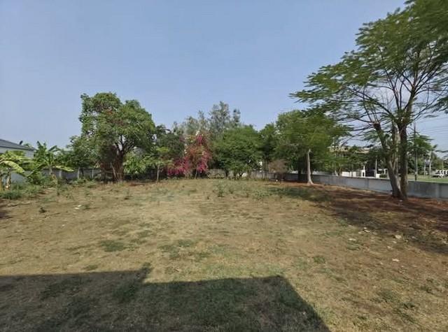บ้านในที่ดิน 600ตร.วา พื้นที่ใช้สอย 320ตร.ม. ใกล้สนามบินสุวรรณภูมิ เลควูด คันทรีคลับ บางนา กม.18 4