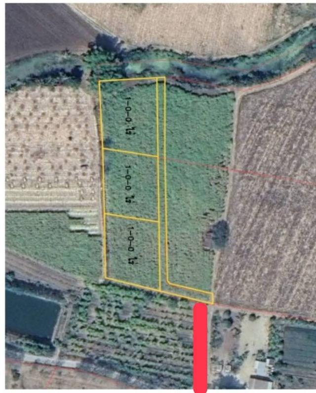 ประกาศขายที่ดินปากช่องแุถวรีสอร์ทบ้านนอกคอกนา ของฉันเอง 2