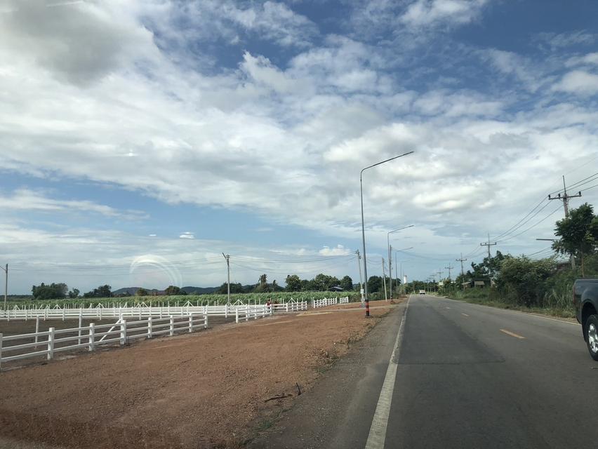 ขายที่ดินโฉนด(สด-ผ่อน) บ้านหนองใยบัว อ.โพธาราม ราชบุรี 300 ตร.วา 600,000 บาท 5