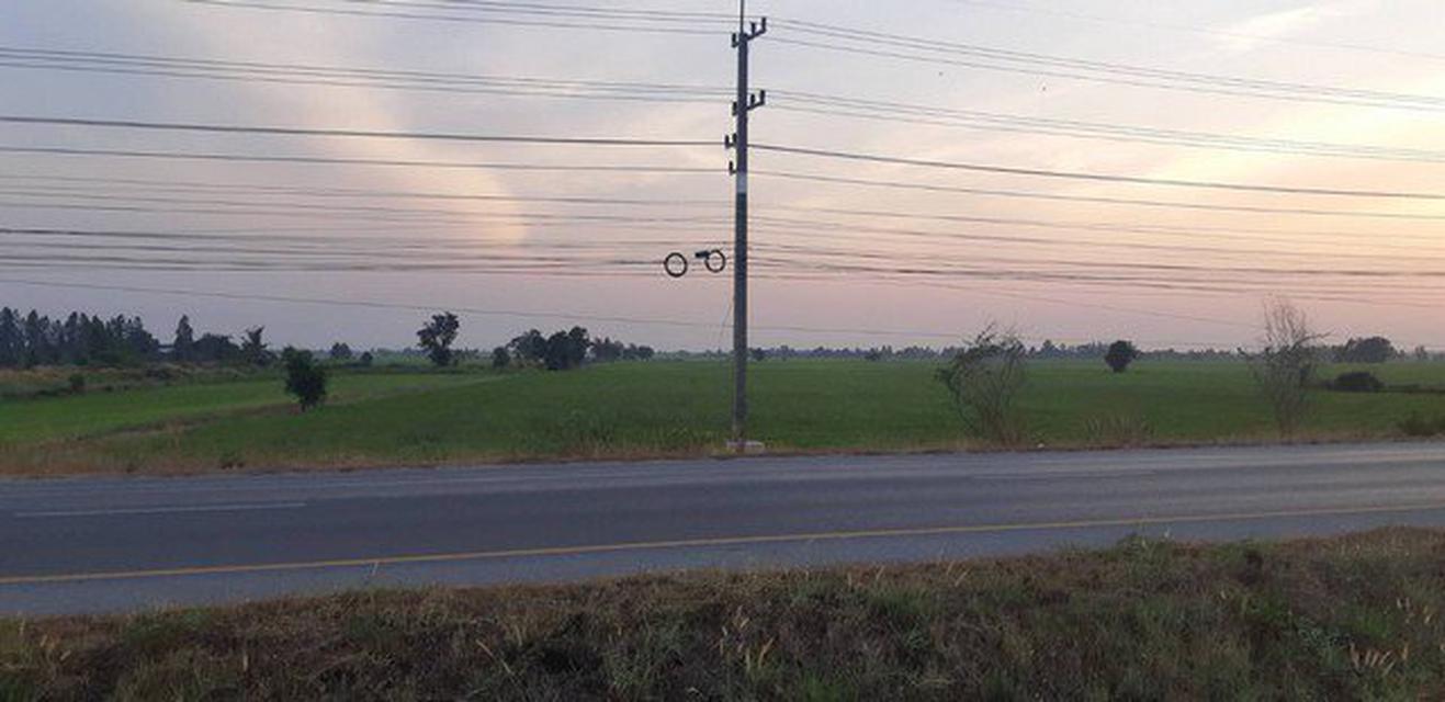 รูป ขายที่ดิน ที่นา บางซ้าย อยุธยา 19-1-62 ไร่ 2