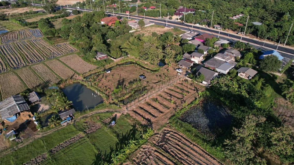ที่ดินบ้านพระเนตร อ.ขุนตาล จ.เชียงราย 2