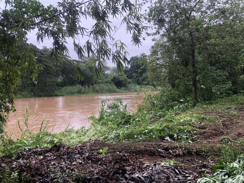 ขายที่ดินหน้าติดแม่น้ำปิงและถนนจำนวน 1 ไร่  3 งาน 7 ตารางวา 4