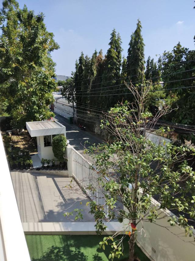 รูป Rent Nice Condo the swimming pool on rooftop Ekkamai 10 2