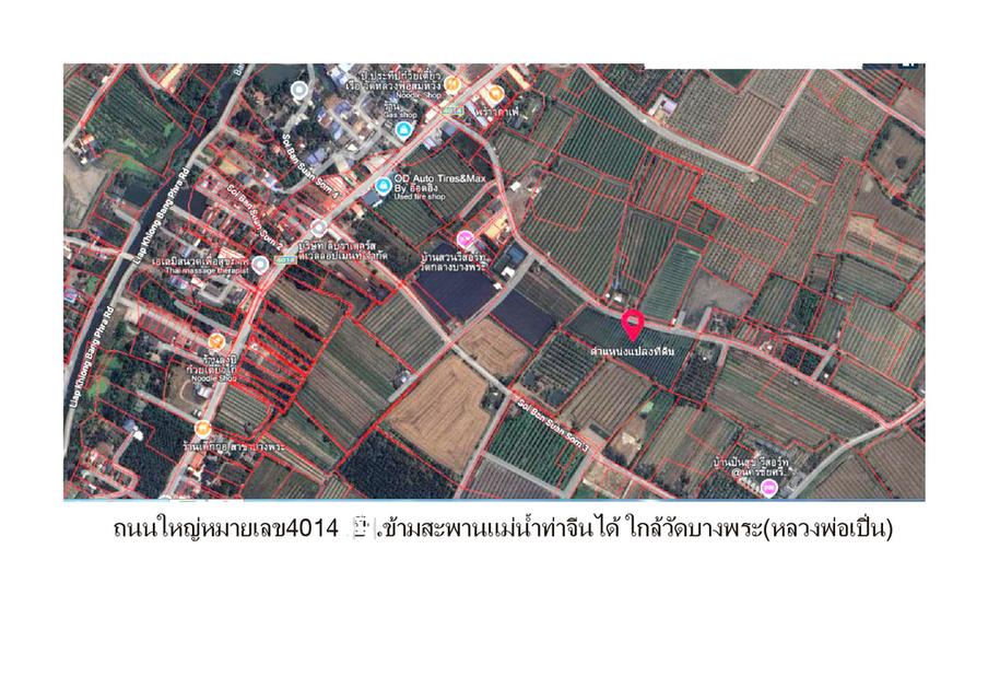 ที่ดินเปล่า 10 ไร่ 2