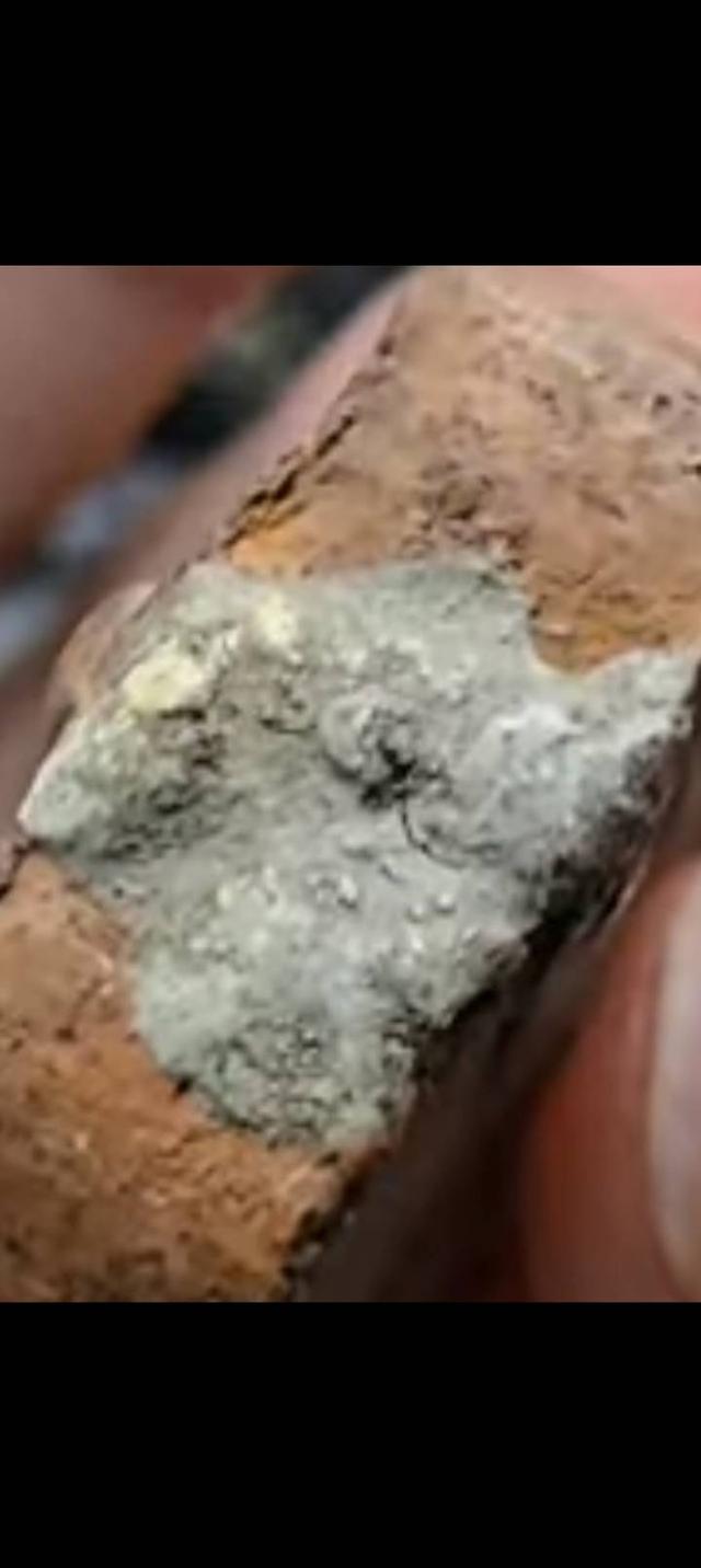 พระเครื่องหลวงพ่อปาน รูปที่ 4