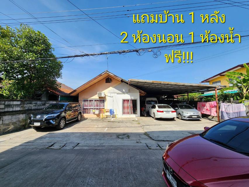 ขายอพาท์เม้นท์ 2 ชั้น 12 ห้อง1   แถมฟรี บ้าน1หลัง 2 ห้องนอน 1 ห้องน้ำ 1 8