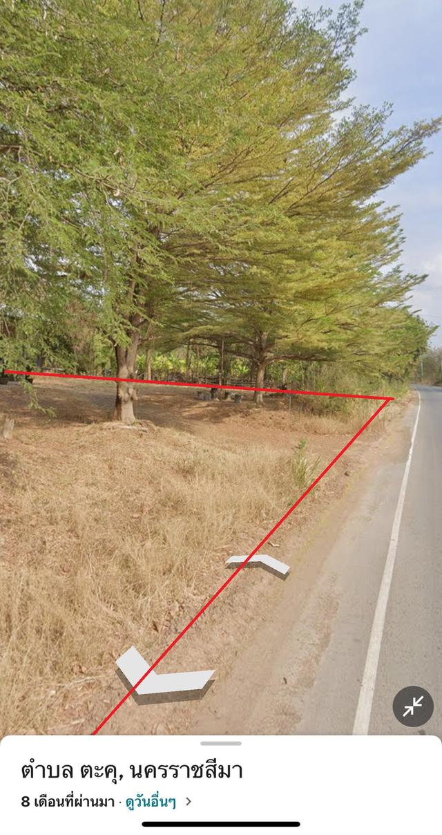 ขายที่ดิน-ปักธงชัย  โคราช 4