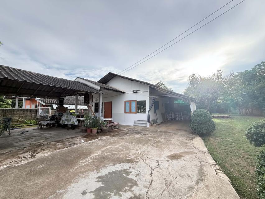 ขายบ้านพร้อมที่ดิน 1 แปลง เนื้อที่ขนาด 2 งาน 41 ตรว. 2
