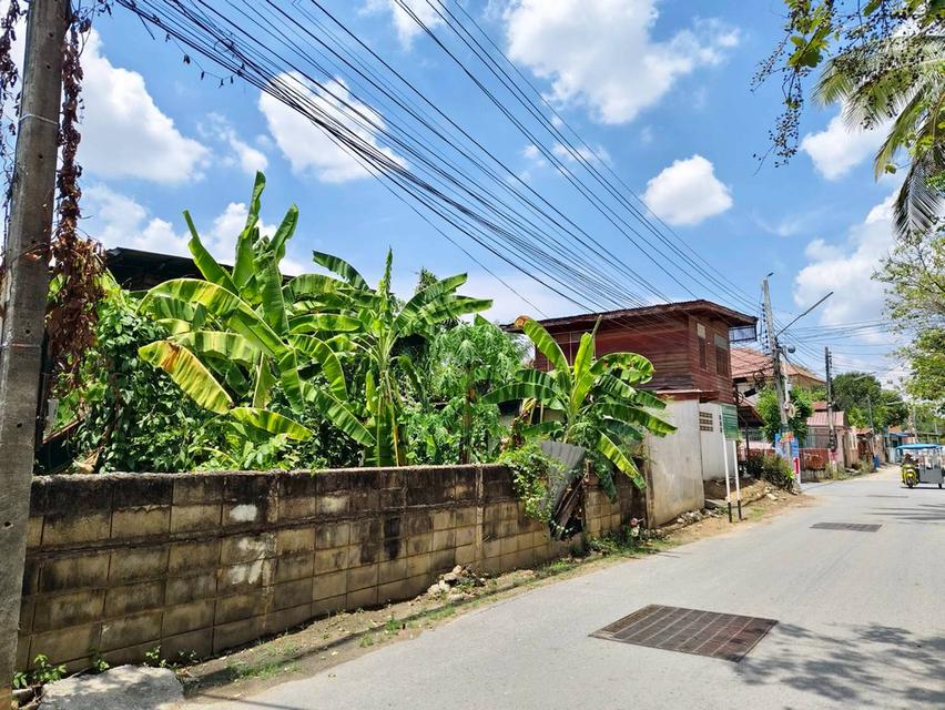 ขายบ้านพร้อมที่ดิน อ.ลาดยาว จ.นครสวรรค์ บ้านติดถนน ใกล้วัดลาดยาว (N.1733) 7