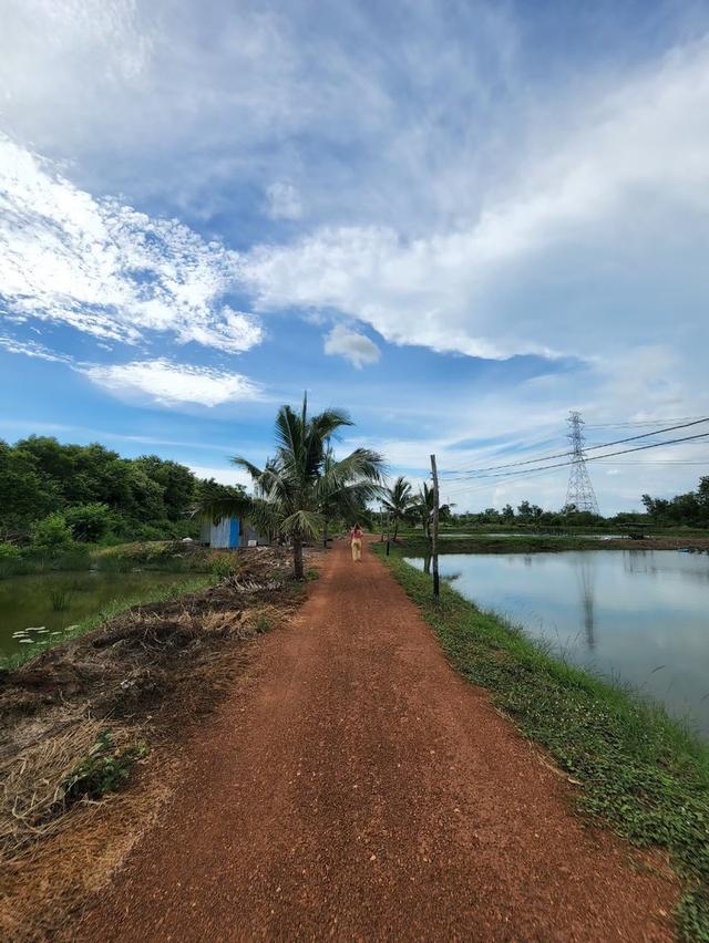 ที่ดิน บางคล้า ฉะเชิงเทรา  3