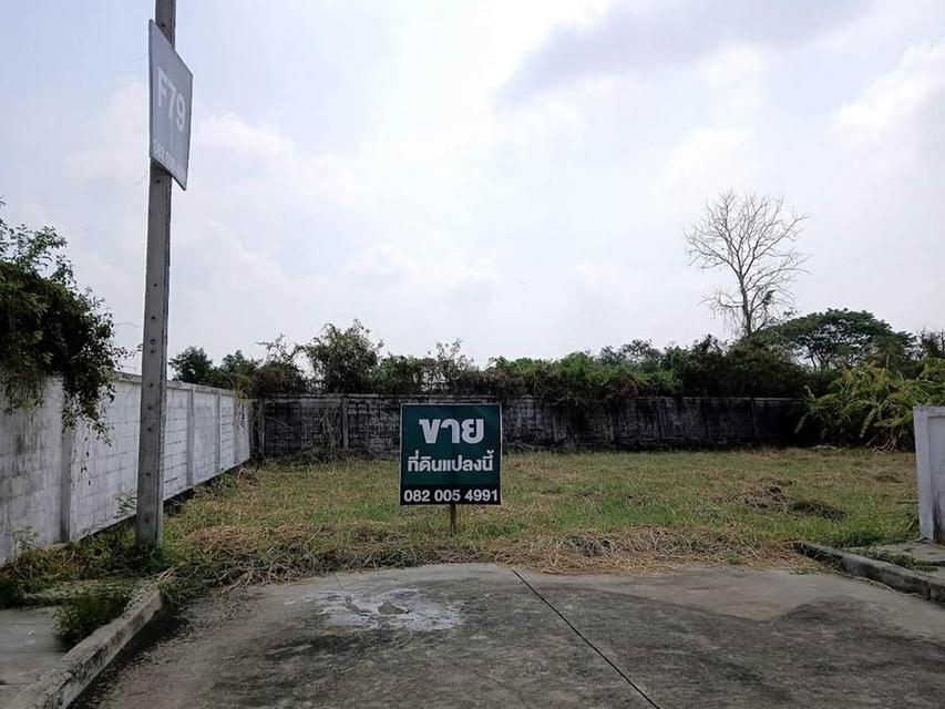 ขายที่ดินในหมู่บ้านเนเบอร์โฮม สุขาภิบาล5 2