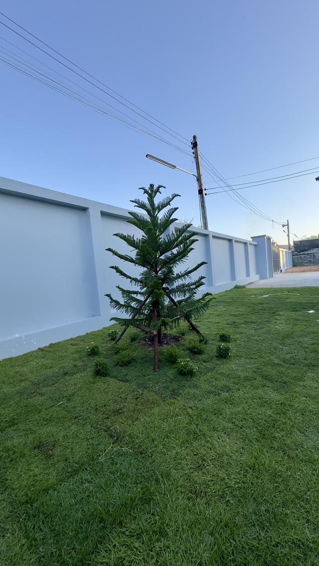 บ้านใหม่ ชั้นเดียว 3 ห้องนอน 3 ห้องน้ำ ใจกลางเมือง 3