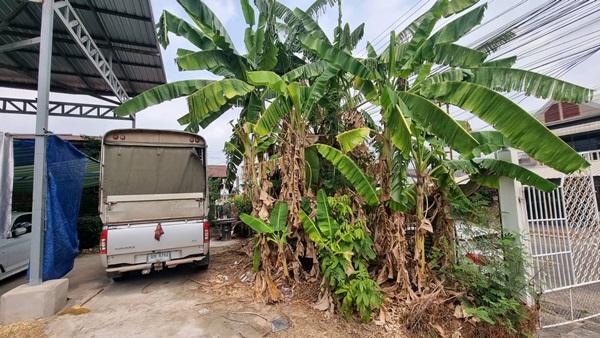 ขายที่ดินราคาถูก พร้อมบ้าน 2 ชั้น 101 ตร.ว. เมืองร้อยเอ็ด ทำเลดีเข้าออกสะดวก ใกล้แหล่งชุมชน และสถานที่สำคัญ โทร 063-2825635 รูปย่อยที่ 5