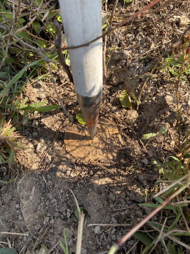 ขายที่ดิน 125 ตรว จังหวัด ลำพูน ต มะเขือแจ้ อ เมือง  ขาย 250,000 4