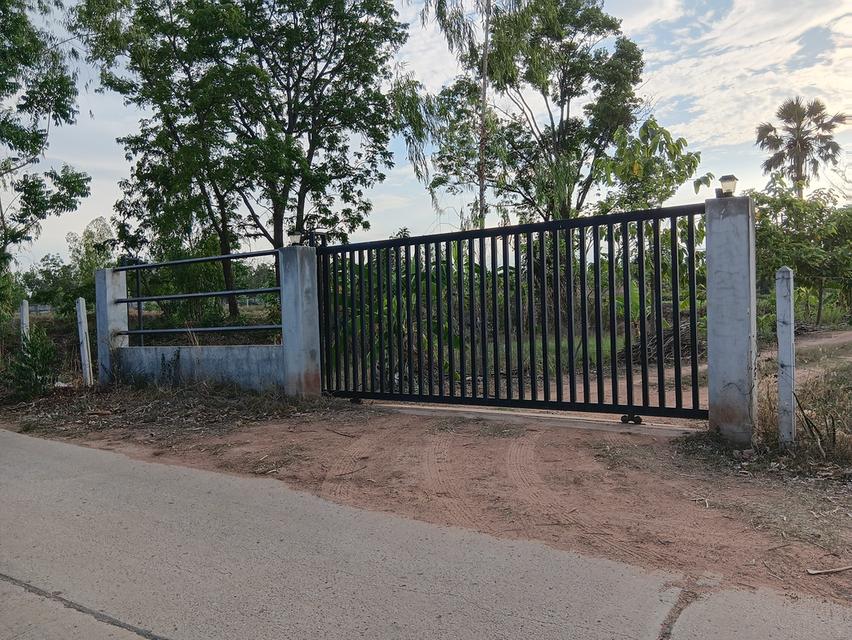 ขายด่วนที่ดินเปล่า21ไร่ ราคา3.9ล้าน ทำเลดีสวยบรรยากาศดีเหมาะทำฟาร์มรีสอร์ท อ.บ้านแท่น จ.ชัยภูมิ สนใจ0844255956 1