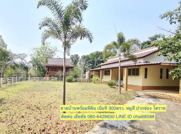 ขายที่ดินพร้อมบ้านพัก ตำบลหมูสี ปากช่อง โคราช ที่ดินพร้อมบ้าน 300ตรว. ใกล้ถนนหลัก ใกล้ทอสคาน่า 4