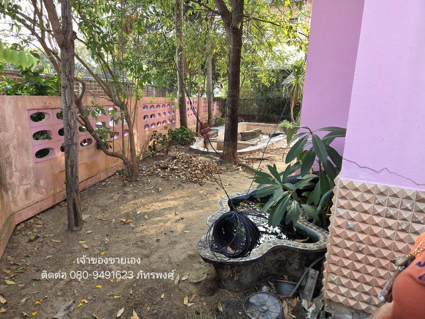 🔥 ขายต่ำกว่าราคาประเมิน! แปลงมุม "ทรงถุงเงิน" 62.2 ตร.ว. (ฟรีโอน) เจ้าของขายเอง - หมู่บ้านชัยพฤกษ์ บางขุนเทียน 4