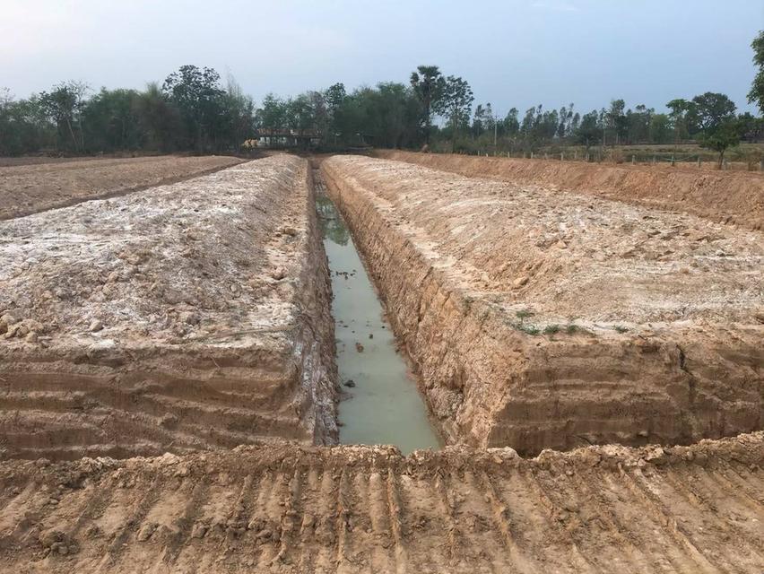 ขายถูกมากห้ามพลาดที่ดินทำเลทอง ติดถนน 4 เลน 207 อำเภอประทายโคราช หน้ากว้าง 80 เมตร ขายถูก 1.39 ล้าน ต่อไร่ 6