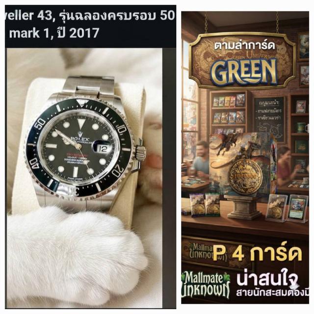 GreencardTech X rolax wach 50year