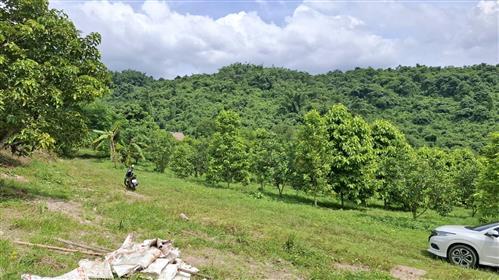 ที่ดิน แปลงเล็ก  กลาง  ใหญ่ สำหรับผู้สนใจหาซื้อไว้ 3