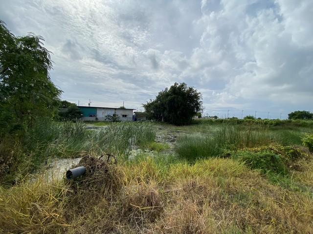 ขายที่ดินเปล่า ทำเลดี เจ้าของขายเอง ตำบลคลองด่าน อำเภอบางบ่อ สมุทรปราการ 15