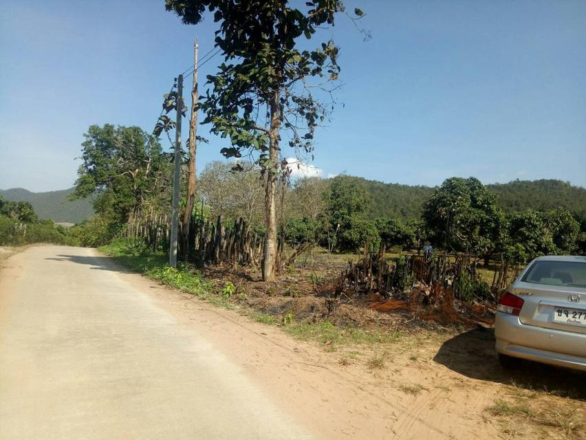 ขายที่ดินสวนลำไยและที่เปล่า 6