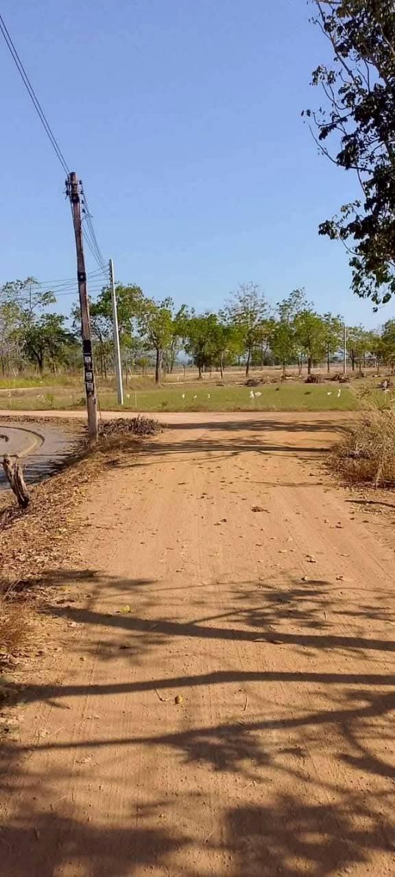 ขายที่ดิน อ.เมือง จ.อุตรดิตถ์ 1