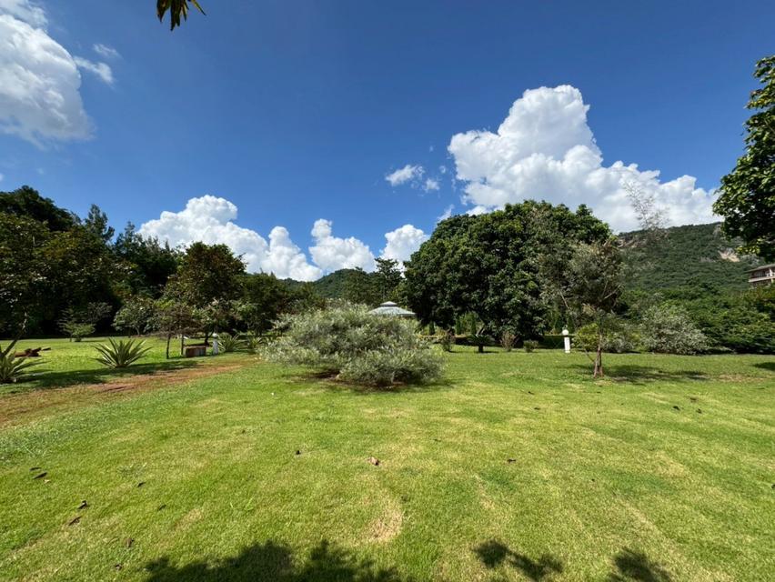 ขาย ที่ดินเปล่า เขาใหญ่ ถ.ธนะรัชต์ เหมาะสร้าง รีสอร์ท โรงแรม คอนโด สถานที่ท่องเที่ยว  32-1-96 ไร่ 6